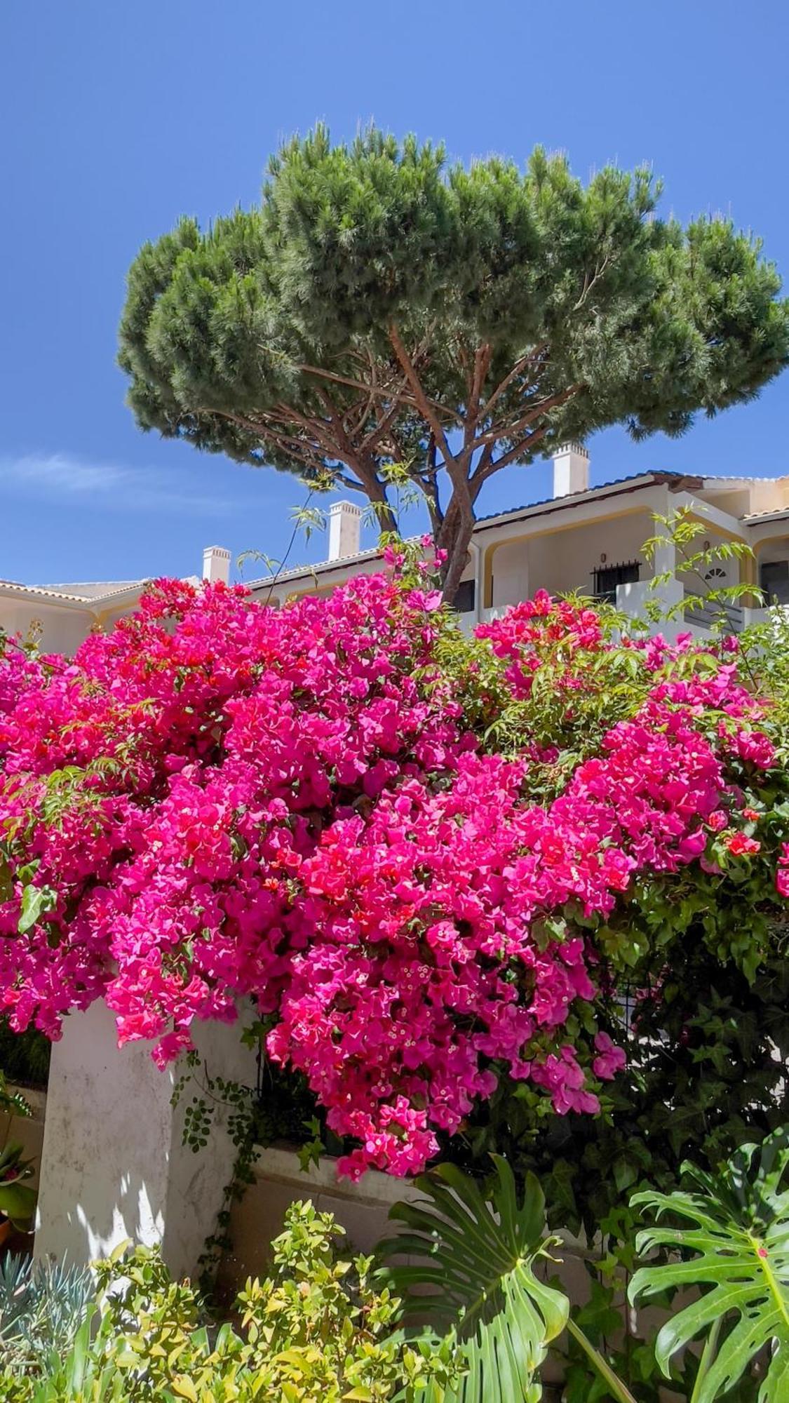 Verde Pino Vilamoura Kültér fotó